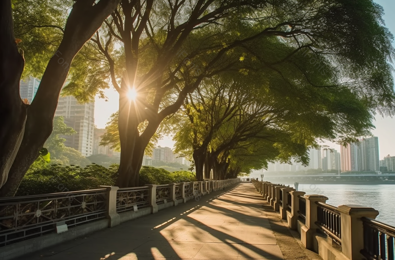阳光穿过绿色大树城市河边河岸散步拍摄,高清,摄影图,摄影图片,图片大全,摄影图免费下载